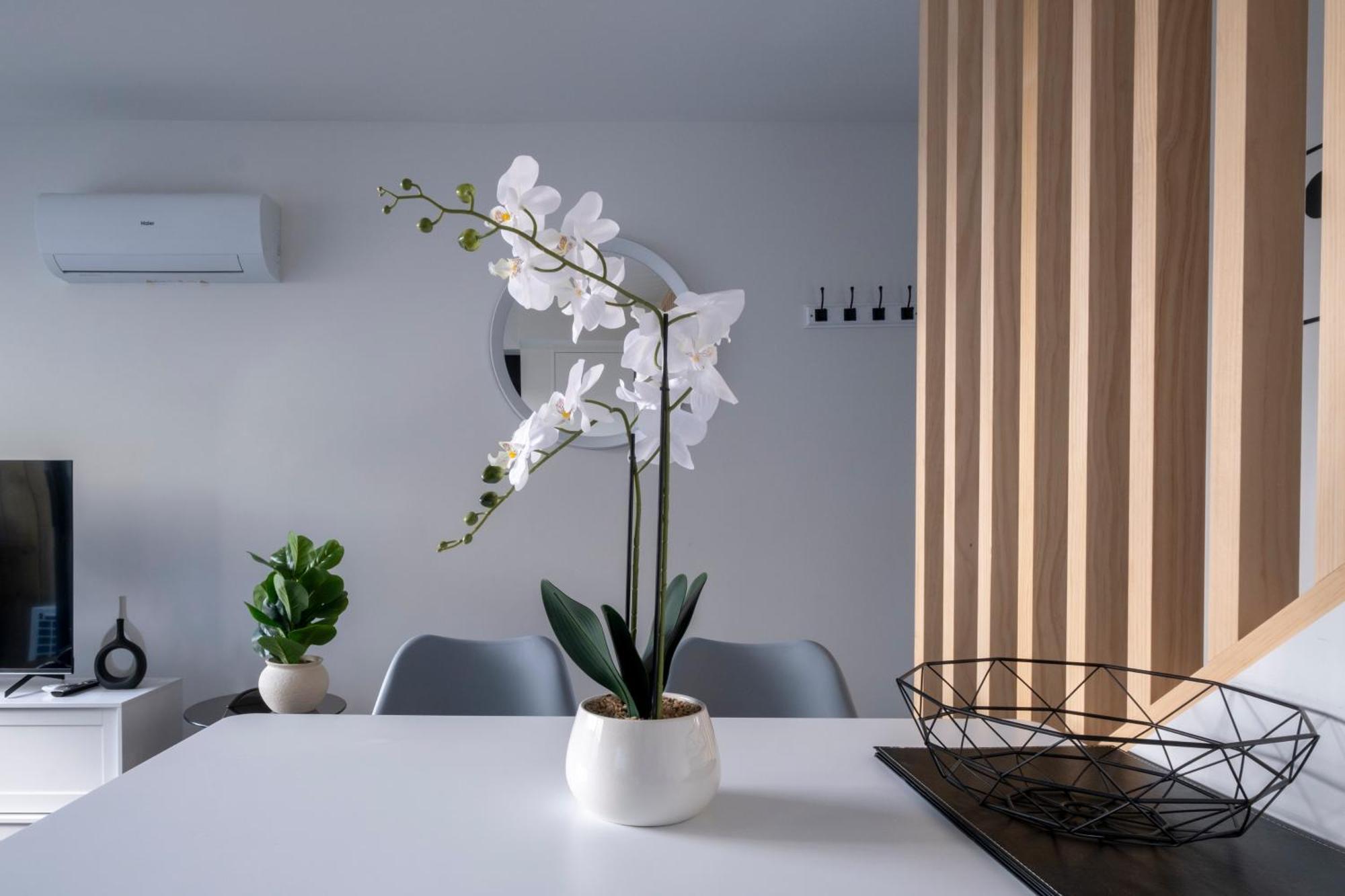 Luxury 2 Bed Townhome In Cbd Christchurch Eksteriør billede