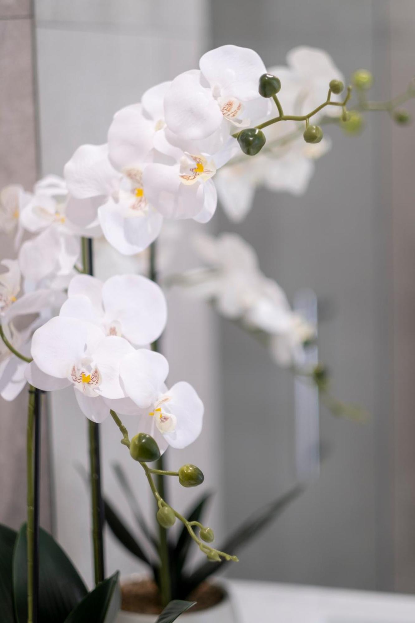 Luxury 2 Bed Townhome In Cbd Christchurch Eksteriør billede